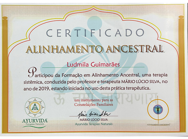 Certificado 4S 2020